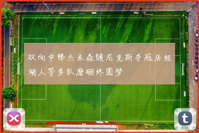 双向中锋杰米森随尼克斯夺冠历经湖人等多队磨砺终圆梦