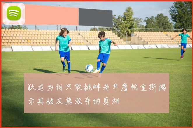 狄龙为何只敢挑衅老年詹帕金斯揭示其被灰熊放弃的真相